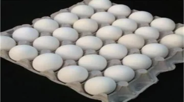 تباين ملحوظ في أسعار البيض بالأسواق المصرية خلال تعاملات الخميس 19 مارس